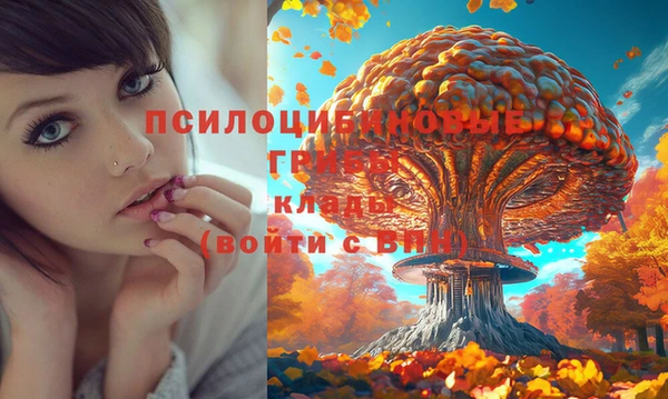 кокс Арсеньев