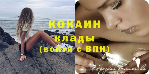 кокс Арсеньев